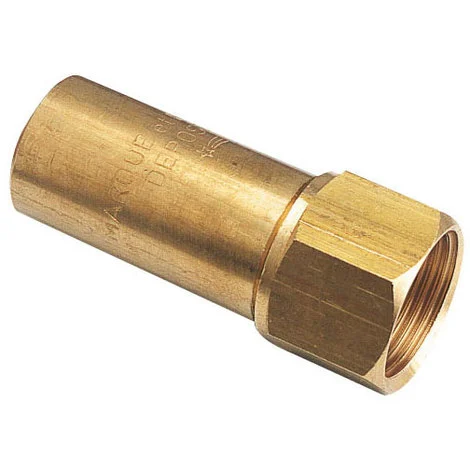 SOMATHERM Anti-bélier à Ressort Femelle 1/2"(15/21) 1 SOMATHERM Anti-bélier à Ressort Femelle 1/2"(15/21)